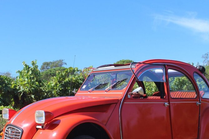 1/2 day private Vintage tour, vineyards of Saint-Tropez - Key Points