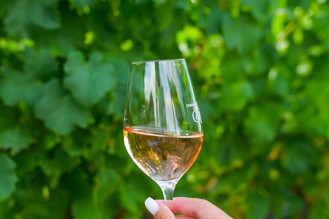1/2 day private Vintage tour, vineyards of Saint-Tropez - Comparing Six to Eight Wines