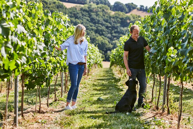 1.5-Hour Swanaford Vineyard Tour And Tasting Experience - What makes this Dartmoor wine visit worth your time