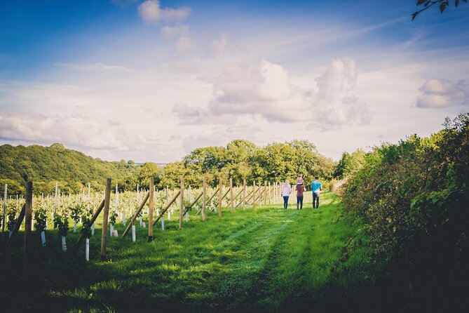 1.5-Hour Swanaford Vineyard Tour And Tasting Experience - Understanding English wine in a difficult climate