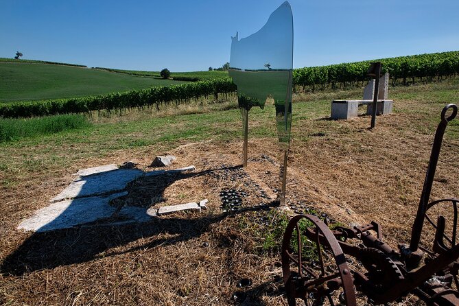 1-Hour Experience with Brunello. Visit to the Vineyard and Cellar - Walking through the organic Sangiovese vineyard