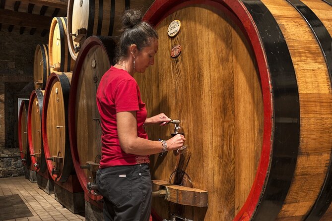 1-Hour Experience with Brunello. Visit to the Vineyard and Cellar - A guide can shape the whole hour