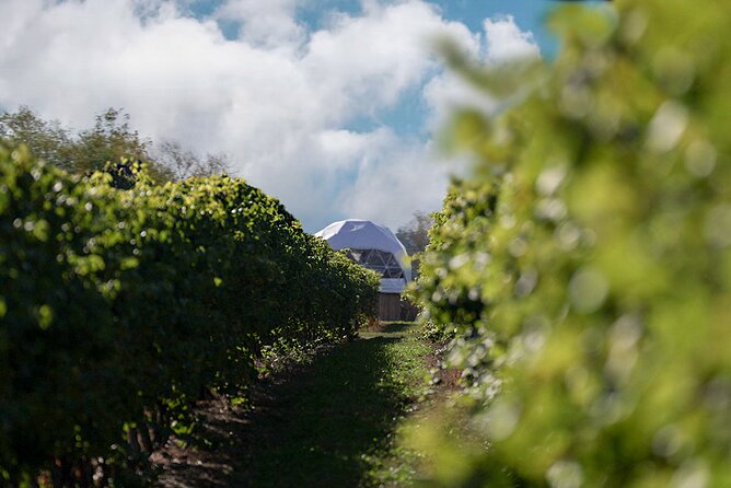 1 Hour Private Vineyard Dome Experience in Niagara-on-the-Lake - How the one-hour schedule feels