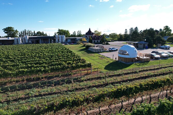 1 Hour Private Vineyard Dome Experience in Niagara-on-the-Lake - Best occasions for this experience