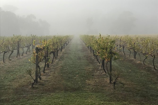 2-Day Yarra Valley Wine Tour with Luxury Vineyard Resort Stay - Transport, group size, and the driver question