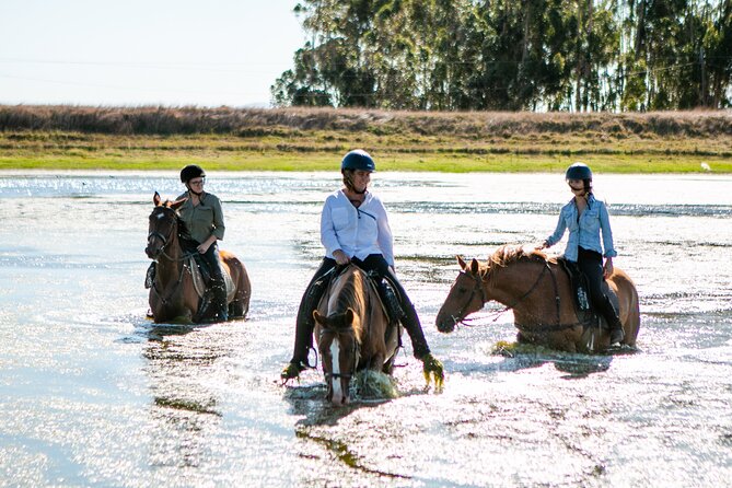 2 Hour Vineyard Trail Ride - Starting at Vredenheim, among vines and big cats
