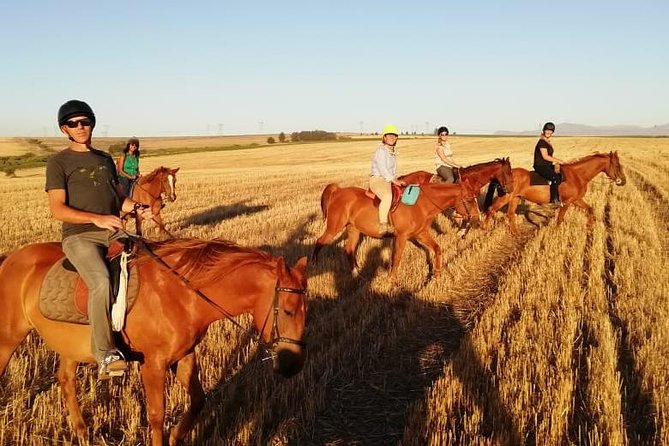 2 Hour Vineyard Trail Ride - Riding through the Vredenheim vineyards