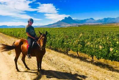 2 Hour Vineyard Trail Ride
