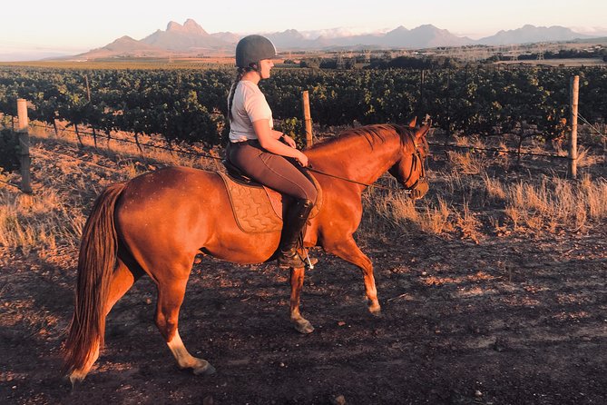 2 Hour Vineyard Trail Ride - Vredenheim Big Cats Park: nearby, but not included
