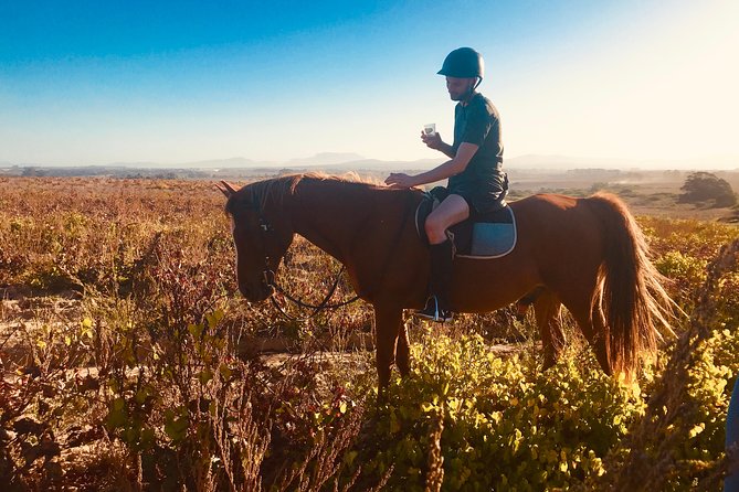 2 Hour Vineyard Trail Ride - Spier Wine Farm is a quick nearby reference