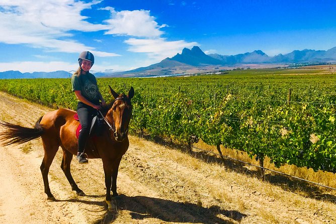 2 Hour Vineyard Trail Ride - A short lesson makes the ride accessible