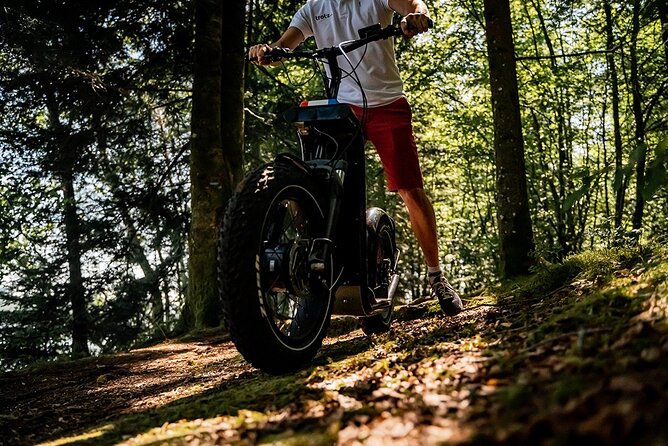 2-hour walk - Castles and vineyards - What this Cognac scooter ride really offers