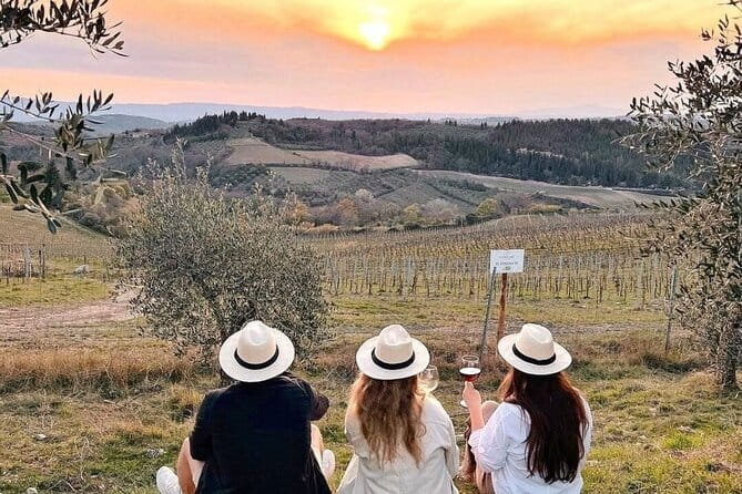 2 wineries Chianti Wine Tasting & Vineyards Walk Private Tour - Key points at a glance