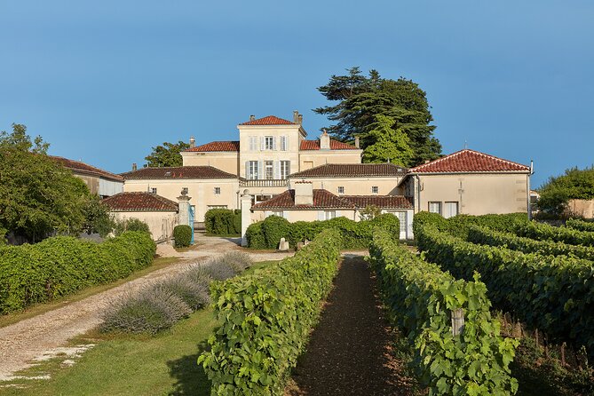 3-Hour Private Painting tuition in a beautiful Cognac vineyard - Arriving at Domaine de Monplaisir near Burie