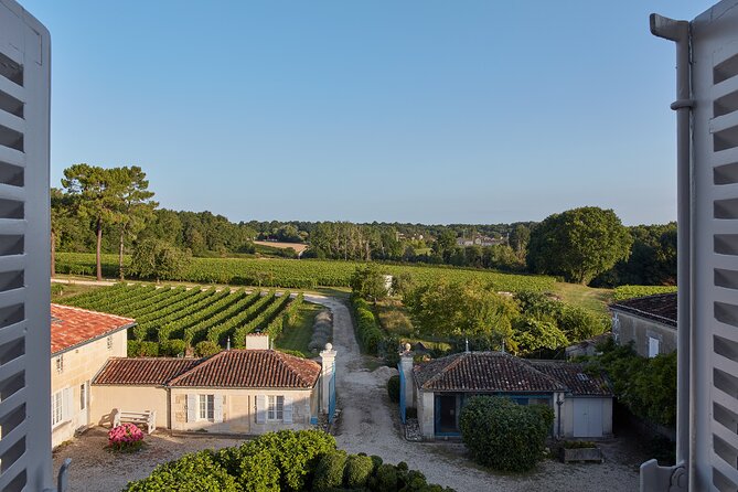 3-Hour Private Painting tuition in a beautiful Cognac vineyard - Is $120.98 per person good value?