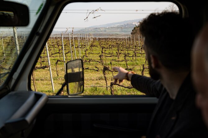 3-Hours of Activities with Safari Grand Tour and Tasting in Vineyards - Why this Abruzzo wine outing works