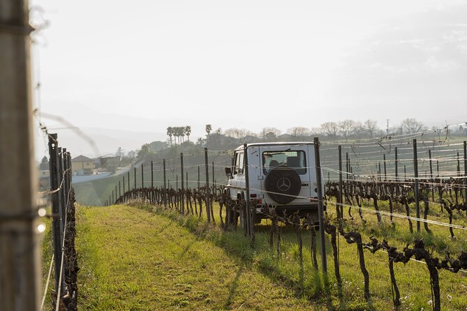 3-Hours of Activities with Safari Grand Tour and Tasting in Vineyards - The sea-to-mountain panorama
