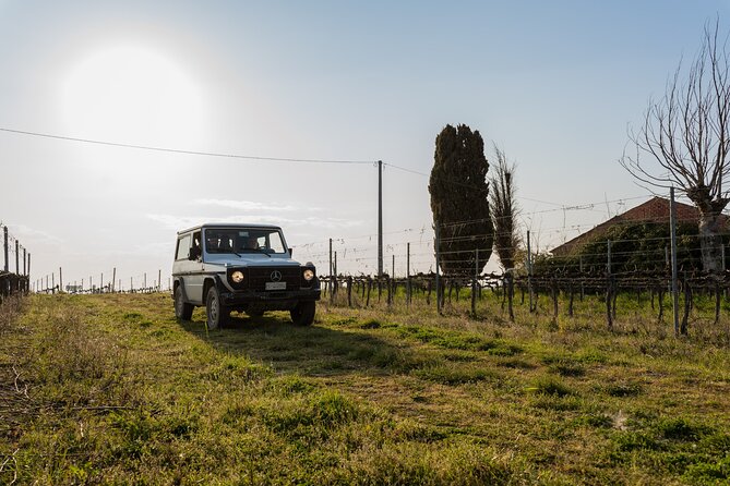 3-Hours of Activities with Safari Grand Tour and Tasting in Vineyards - Inside the historic winery and barrel cellar