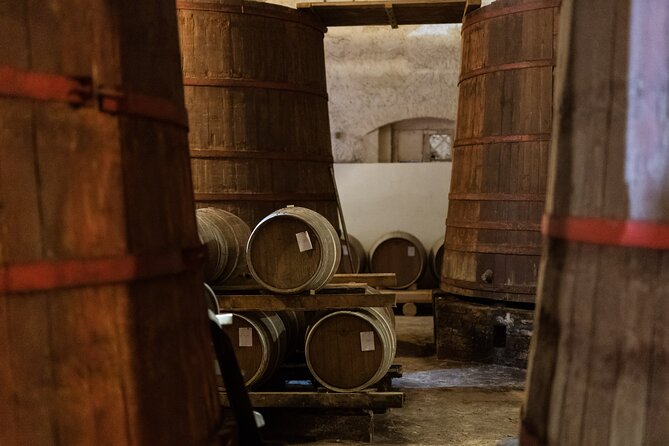 3-Hours of Activities with Safari Grand Tour and Tasting in Vineyards - Is $78.64 a good value?