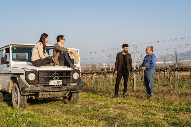 3-Hours of Activities with Safari Grand Tour and Tasting in Vineyards - Timing, meeting point, and practical planning