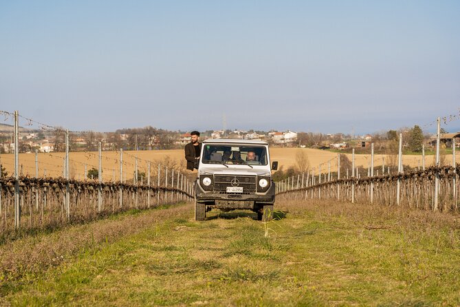 3-Hours of Activities with Safari Grand Tour and Tasting in Vineyards - Who will enjoy this most?