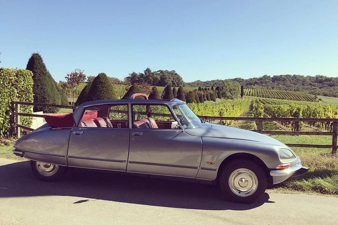 3H private city tour of Bordeaux and vineyard in a Citroën DS - A private format that suits families and couples