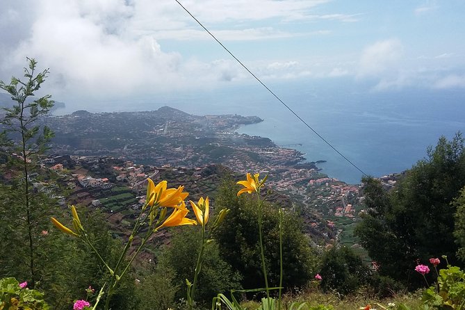 4x4 Safari Half day Poncha, Mountains, Vineyards and Cabo Girão Small group - What the guides add to the experience