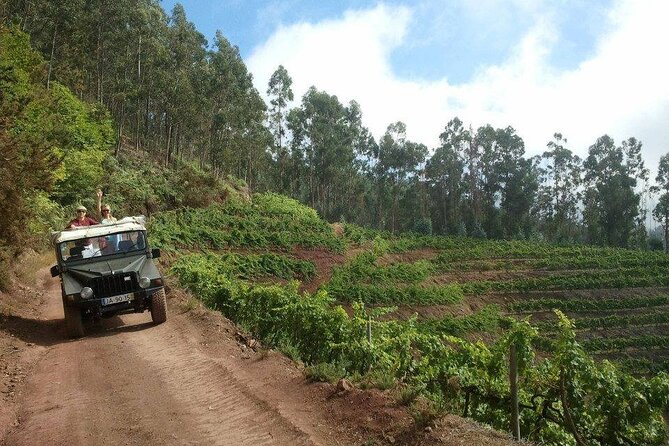 4x4 Safari Half day Poncha, Mountains, Vineyards and Cabo Girão Small group - Boca dos Namorados: the wide view toward Curral das Freiras