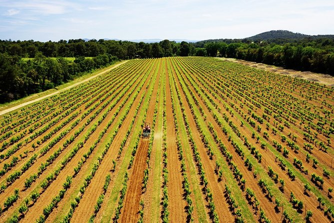 4x4 tour in a winery followed by a tasting - Tasting up to nine estate wines
