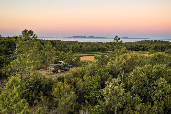 4x4 tour in a winery followed by a tasting - The Porquerolles viewpoint