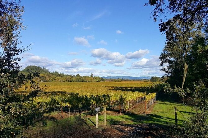 5 day California Vineyards, Waves and Wine small group tour - Sonoma relaxation and the return to San Francisco
