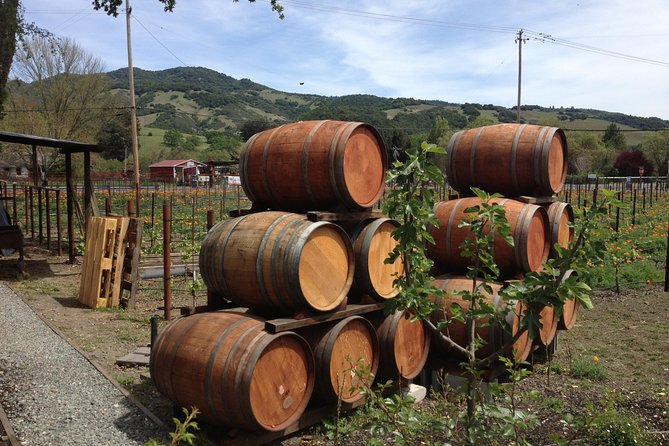 6-Hour Private Wine Country Tour of Napa in Crossover SUV (up to 6 people) - What the six-hour schedule really allows