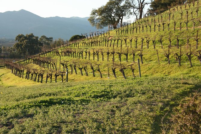 6-Hour Private Wine Country Tour of Napa in Crossover SUV (up to 6 people) - Hotel pickup and the details you should confirm