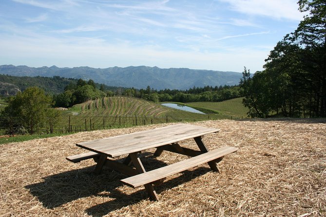 6-Hour Private Wine Country Tour of Napa in Crossover SUV (up to 6 people) - Best for birthdays, anniversaries, and small groups