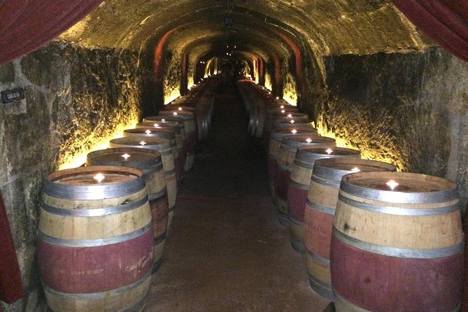 6-Hour Private Wine Country Tour of Napa in Crossover SUV (up to 6 people) - Why the driver may shape your whole day