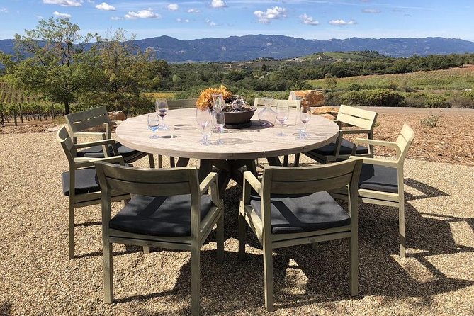 6-Hour Private Wine Country Tour of Napa in Lincoln MKT Limo (up to 8 people) - Who should book this private wine tour?
