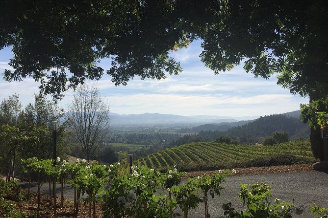 6-Hour Private Wine Country Tour of Napa Valley (up to 6 people) in Large SUV - Hotel pickup removes a common Napa headache