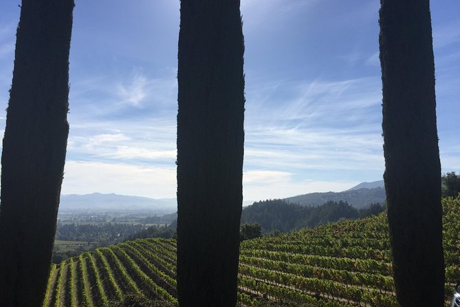 6-Hour Private Wine Country Tour of Napa Valley (up to 6 people) in Large SUV - Who will get the most from this tour