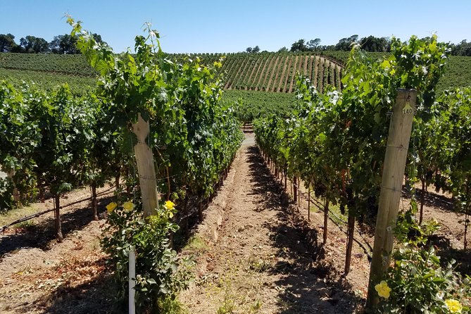 6 Hour Private Wine Country Tour (Sedan, SUV or Limo) - What six hours really gives you