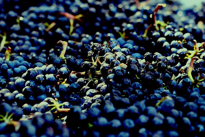 8 Hour Private Tour in Wine Country from San Francisco - Choosing Napa wineries around your taste