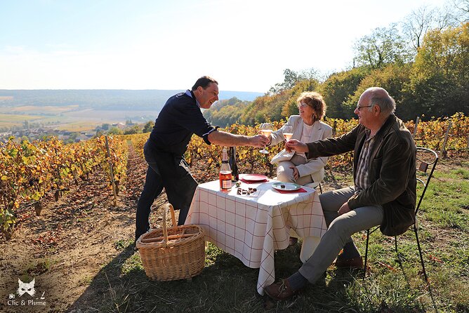 A unique sensory experience in the vineyards - Riding through the vines in a 4x4