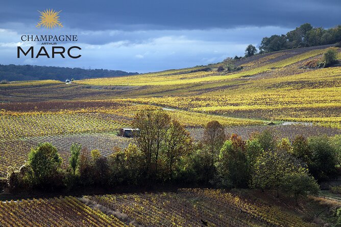 A unique sensory experience in the vineyards - Why the private format changes the experience