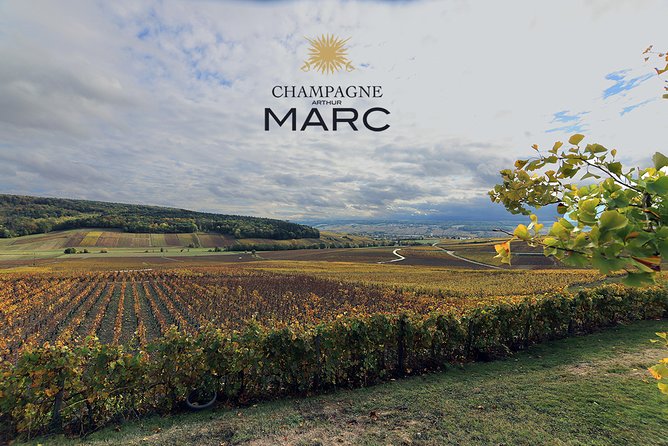 A unique sensory experience in the vineyards - Booking, timing, and cancellation details