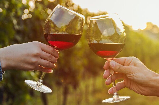 A Wine Tasting Experience in the Vineyards of the Desert - Key points at a glance
