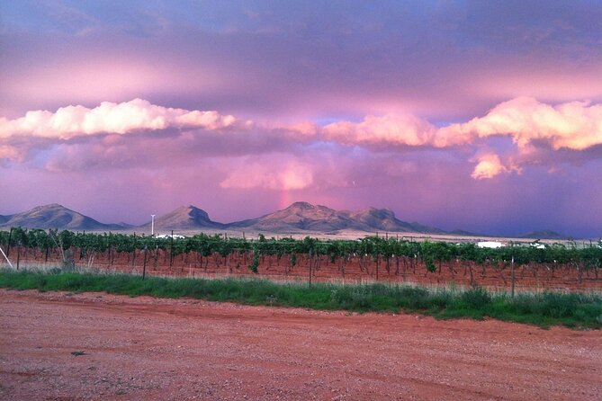 A Wine Tasting Experience in the Vineyards of the Desert - Leaving Tucson for Arizona wine country