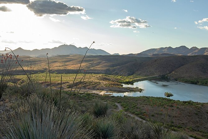 A Wine Tasting Experience in the Vineyards of the Desert - Why the small group makes a difference