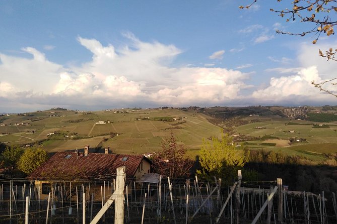 Abellonio Cascina Piccaluga - visit to the vineyards, to the wine tasting cellar - Key points to know before booking