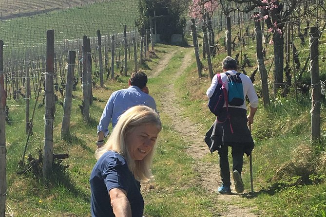 Abellonio Cascina Piccaluga - visit to the vineyards, to the wine tasting cellar - Inside the cellar: from harvest to bottle