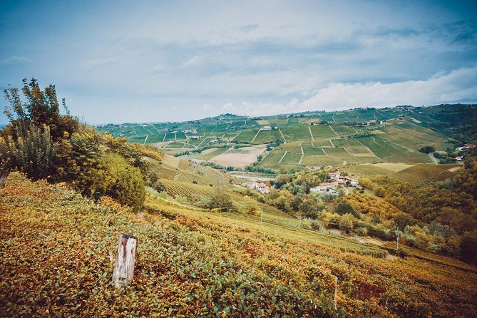 Abellonio Cascina Piccaluga - visit to the vineyards, to the wine tasting cellar - Price, timing, and getting there