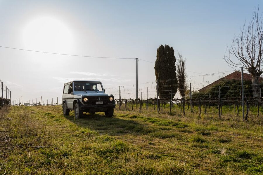 Abruzzo: Vineyard Jeep Tour with Tastings - Key points to know before booking
